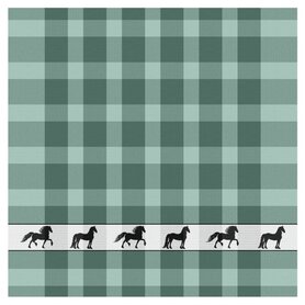 DDDDD Theedoek Shanti Green 32133