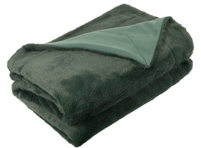 Livello Plaid Nordic Green 21381