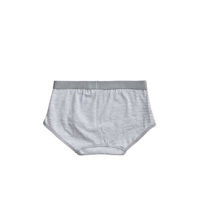 Ten Cate Girls Basic Brief 2-Pack Grey Stripe 31119 | 20912