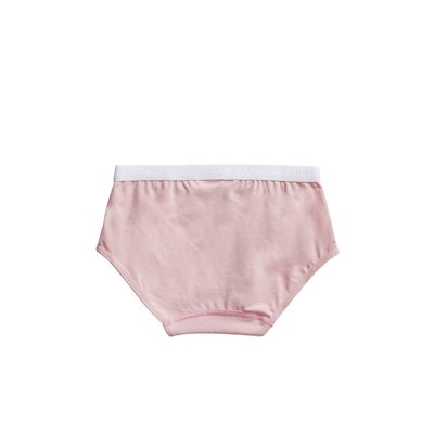 Ten Cate Girls Basic Brief 2-Pack Pink Stripe 31119 | 20915