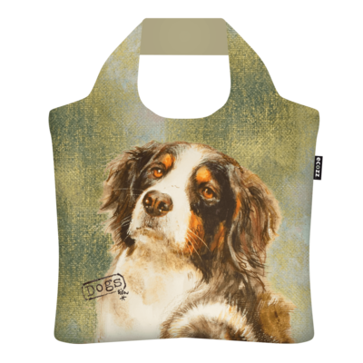 Ecozz Silver Collection Benner Sennen Dog SCBD01 | 21823