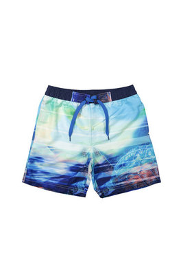 Lentiggini Heren Zwemshort Cobalt 17Y-28454H | 19209