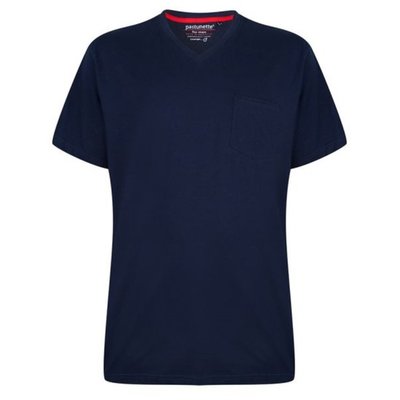 Pastunette Mix & Match Shirt Blauw 4399-621-3 | 16425