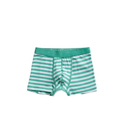 Ten Cate Boys Basic Shorts Green Stripe 31122 | 21563