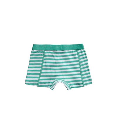 Ten Cate Boys Basic Shorts Green Stripe 31122 | 21563