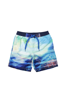 Lentiggini Heren Zwemshort Cobalt 17Y-28454H | 19209