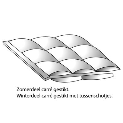 Dreamstar 90% Ganzendons 4-Seizoenen Dekbed 200x200