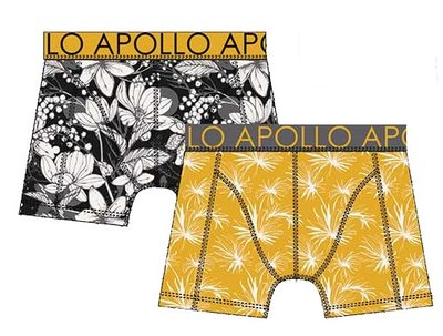 Apollo Boxershorts 2-pack Geel / Zwart 20400