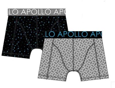Apollo Boxershorts 2-pack Blauw / Grijs 20402