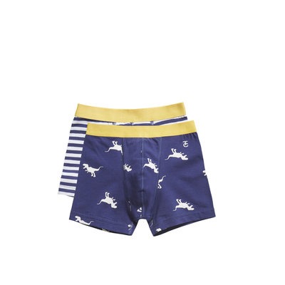 Ten Cate Boys 2-Pack Boxer Blauw/Geel 30828 | 19944