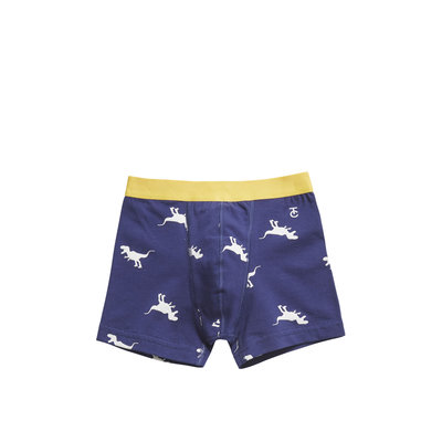 Ten Cate Boys 2-Pack Boxer Blauw/Geel 30828 | 19944