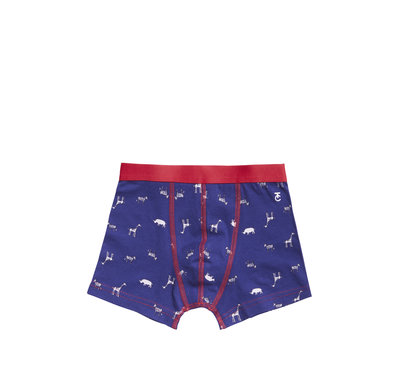 Ten Cate Boys 2-Pack Boxer Stripes 31105 | 21050