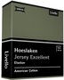 Livello Jersey Excellent Hoeslaken Green BLLIV33 | 25160